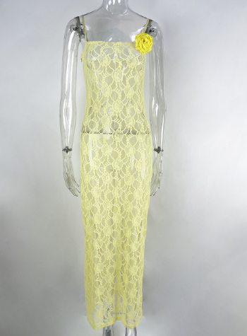 Women's Sheer Lace Sheath Dress — Slim Fit, Sleeveless, Multi-Color