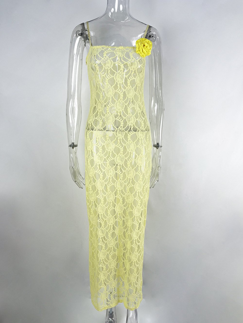 Women's Sheer Lace Sheath Dress — Slim Fit, Sleeveless, Multi-Color